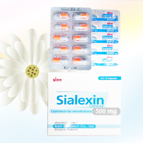 Sialexin (セファレキシン) 500mg 100カプセル