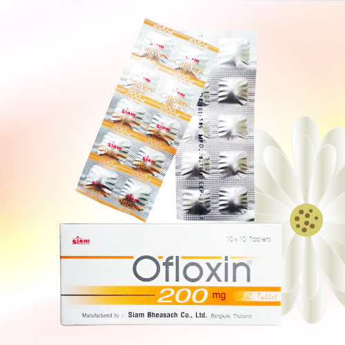 Ofloxin (オフロキサシン) 200mg 100錠 (10錠x10シート)