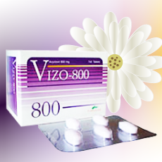 Vizo (アシクロビル) 800mg 35錠
