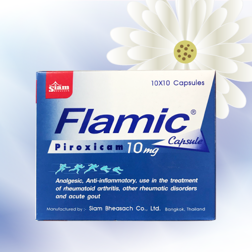 Flamic (ピロキシカムカプセル) 10mg 100カプセル (10シート)