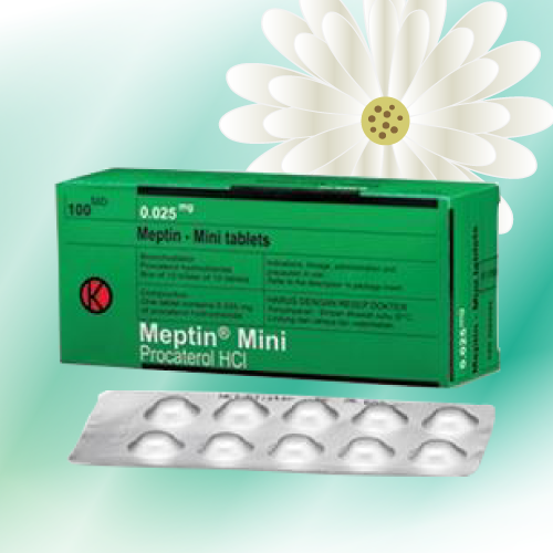 メプチンミニ (Meptin) 25μg 100錠 (100錠x1箱)