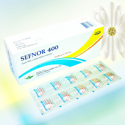 Sefnor (ノルフロキサシン) 400mg 100錠 (10錠x10シート)