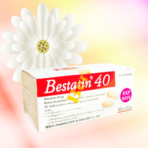 Bestatin (シンバスタチン) 40mg 100錠