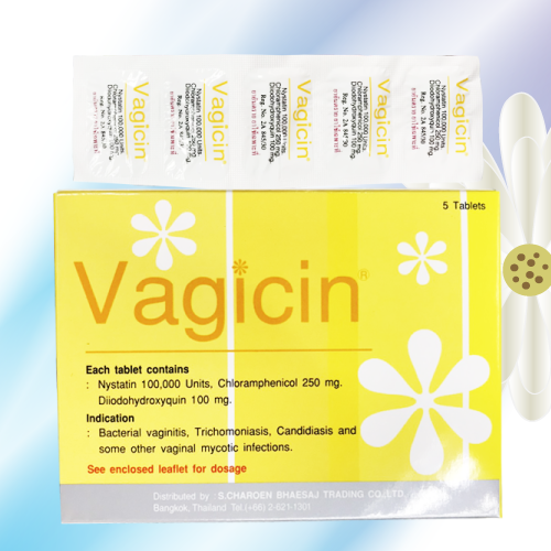 ヴァギシン膣錠 (Vagicin) 50錠 (5錠x10シート)