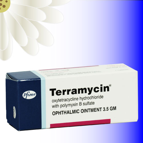 テラマイシン眼軟膏 (Terramycin Ophthalmic Ointment) 3.5g 1本