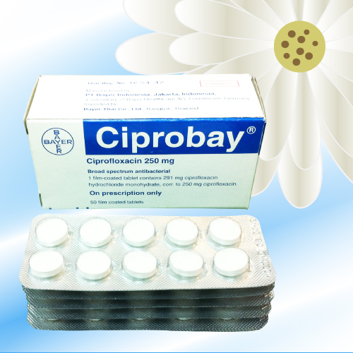 シプロベイ (Ciprobay) 250mg 50錠