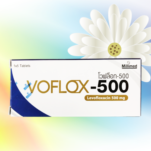 Voflox-500 (レボフロキサシン) 500mg 20錠 (5錠x4シート)