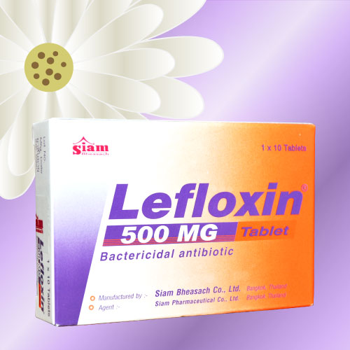 レフロキシン / レボフロキサシン (Lefloxin) 500mg 20錠 (10錠x2箱)