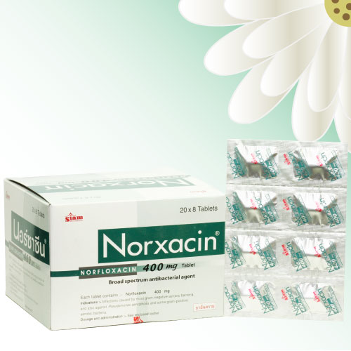 ノルキサシン/ノルフロキサシン (Norxacin) 400mg 40錠 (8錠x5シート)