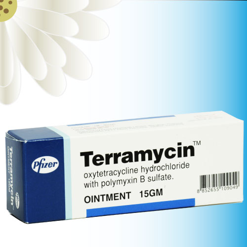 テラマイシン軟膏 (Terramycin Topical Ointment) 15g 1本