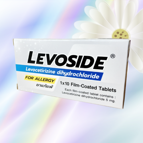 Levoside (レボセチリジン・ザイザルジェネリック) 5mg 100錠 (10錠x10シート)